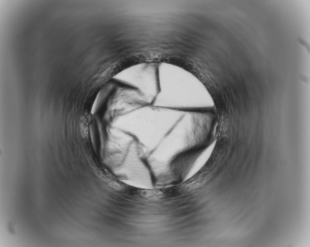 X0000095900719200802081140