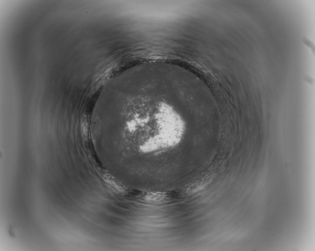 X0000095900720200802081140