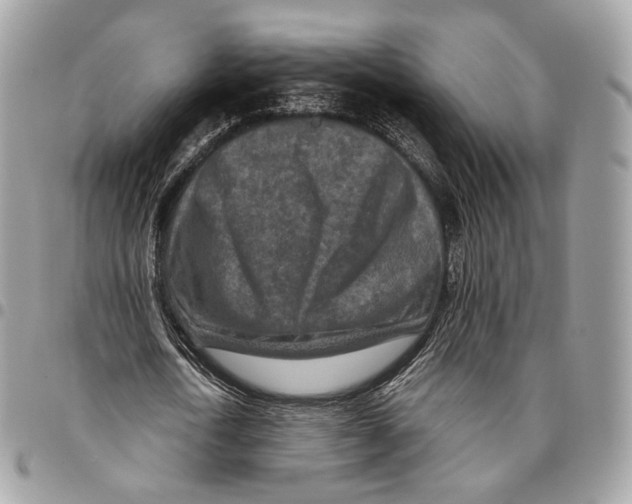 X0000095900722200802081139