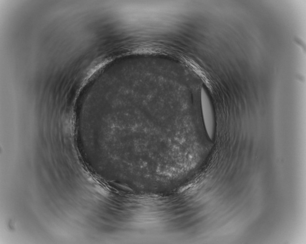 X0000095900724200802081139