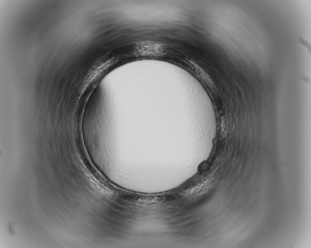 X0000095900725200802081139