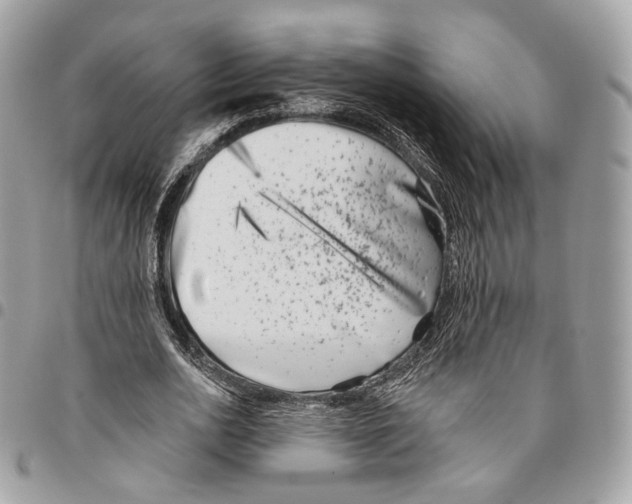 X0000095900726200802081139