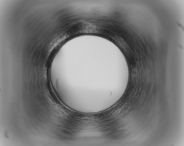 X0000095900727200802081139