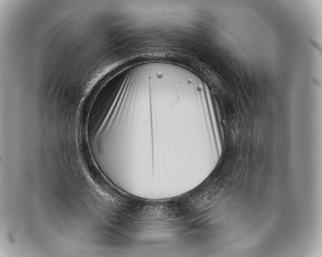 X0000095900728200802081139