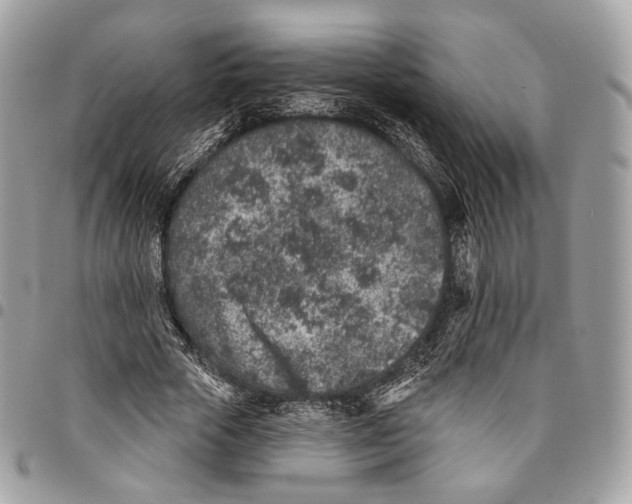 X0000095900729200802081139