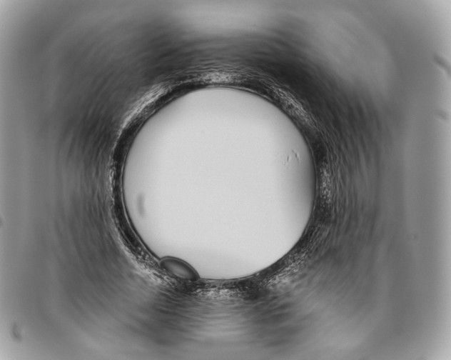 X0000095900730200802081139