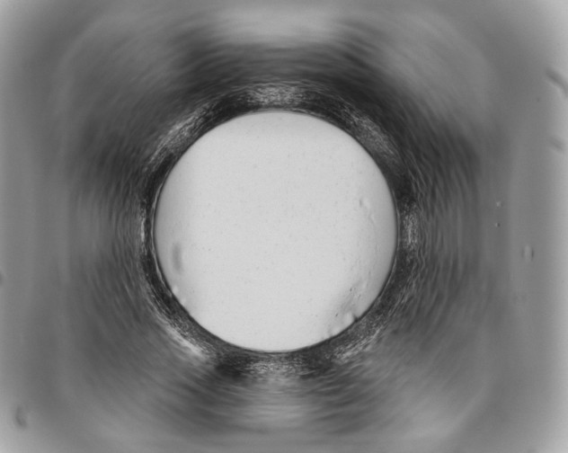 X0000095900733200802081139