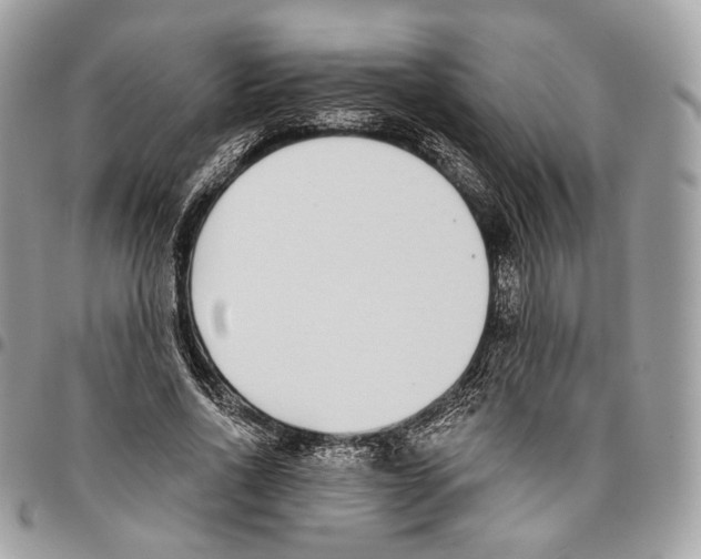 X0000095900734200802081139