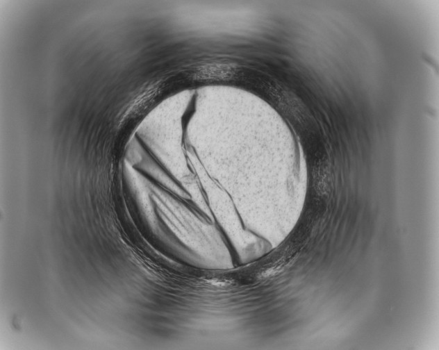 X0000095900735200802081139