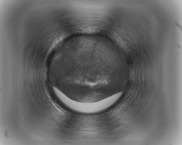 X0000095900736200802081139