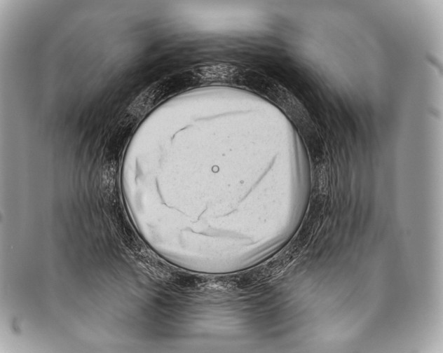 X0000095900737200802081139