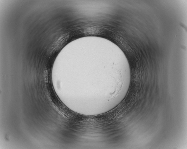 X0000095900738200802081139