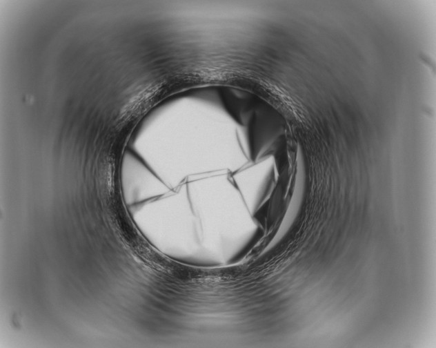 X0000095900740200802081139