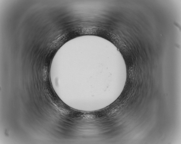 X0000095900741200802081139