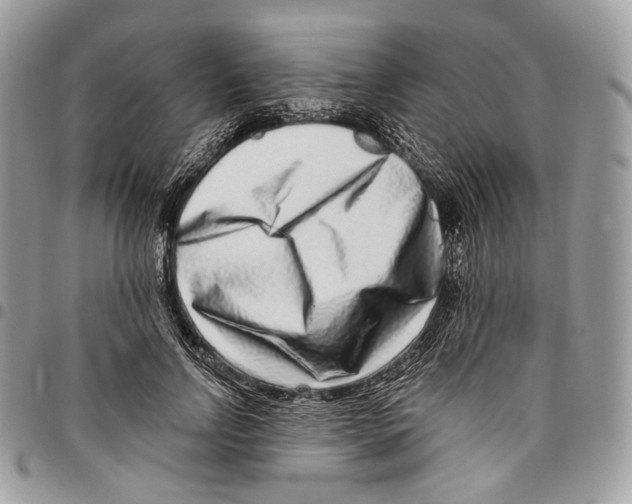 X0000095900742200802081139