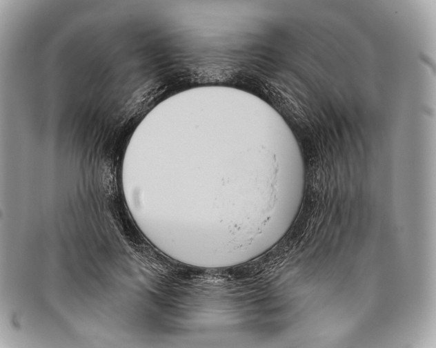 X0000095900743200802081139