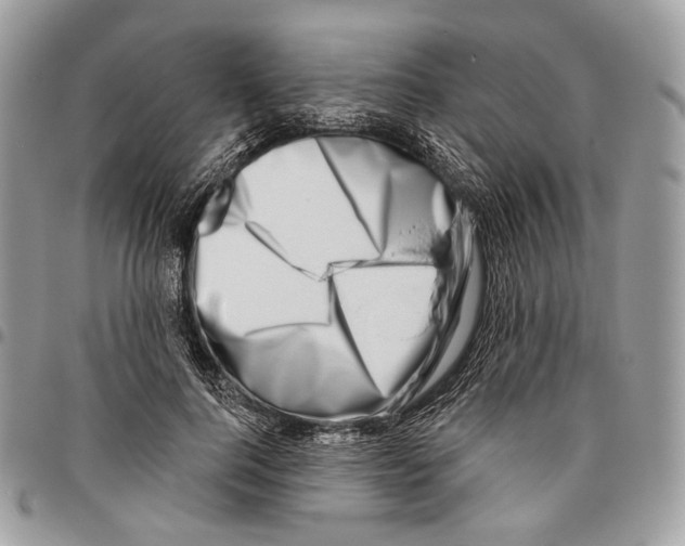 X0000095900744200802081139