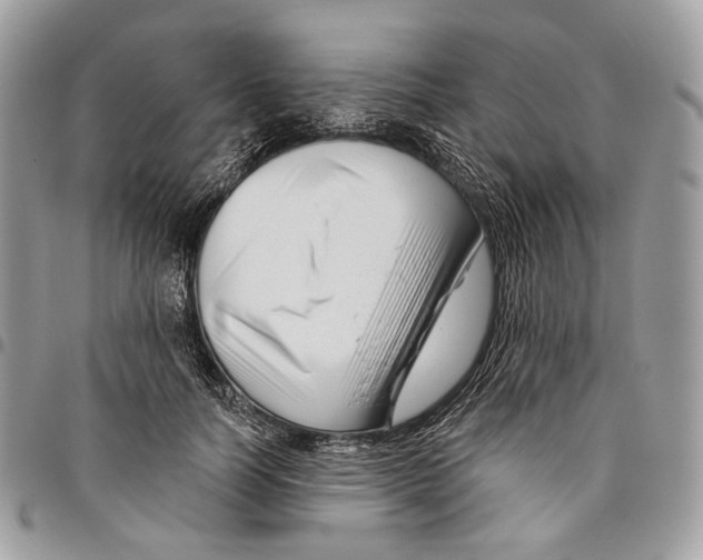 X0000095900746200802081139