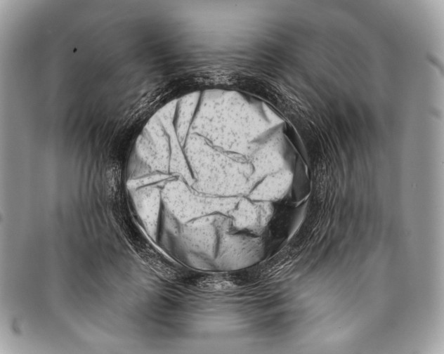 X0000095900747200802081139