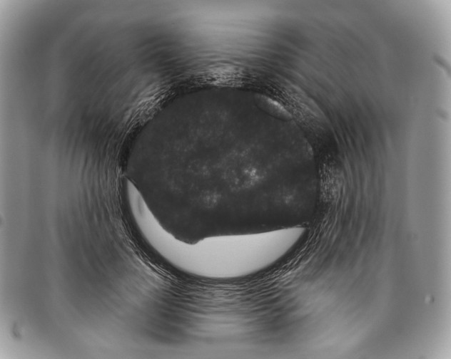 X0000095900748200802081139