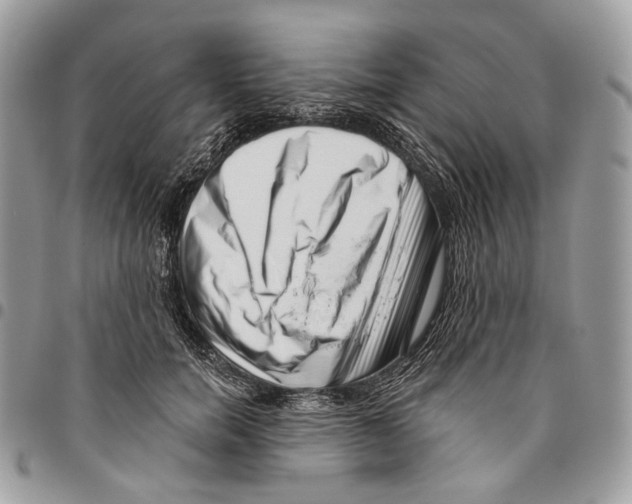 X0000095900750200802081140