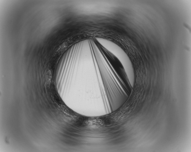 X0000095900752200802081140