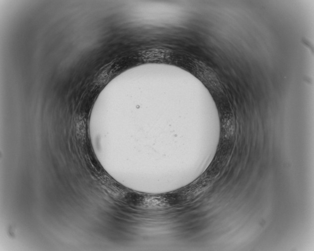 X0000095900753200802081140