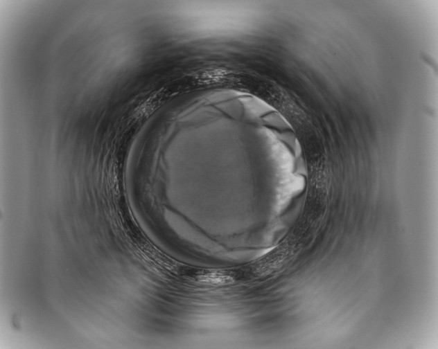 X0000095900754200802081140