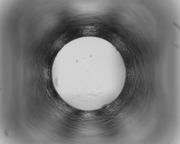 X0000095900755200802081140