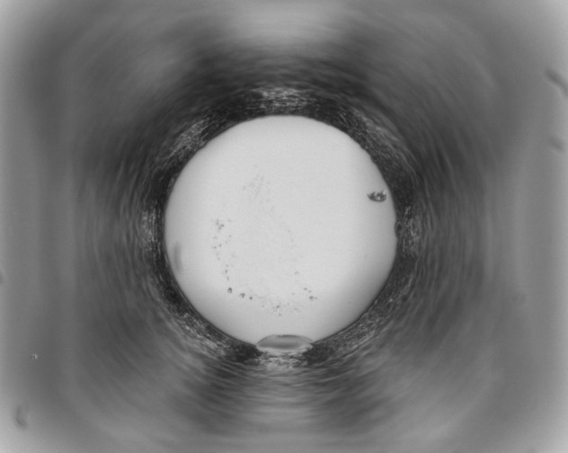 X0000095900756200802081140