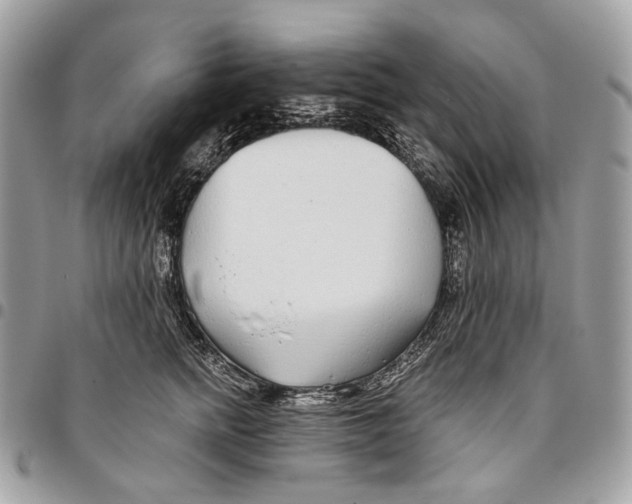 X0000095900758200802081140