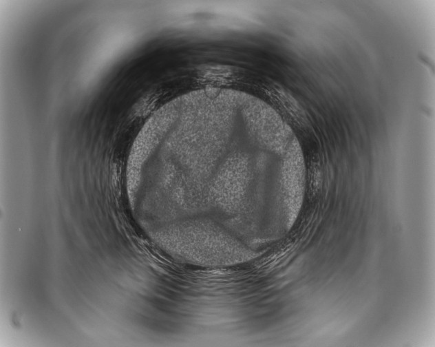 X0000095900759200802081140