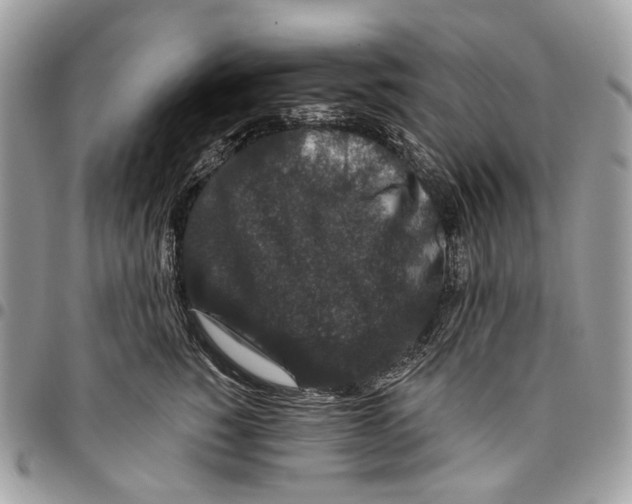 X0000095900760200802081140