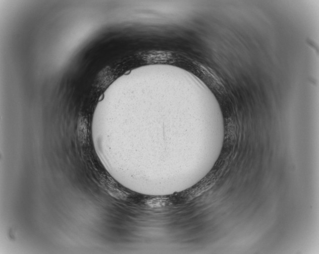 X0000095900761200802081140