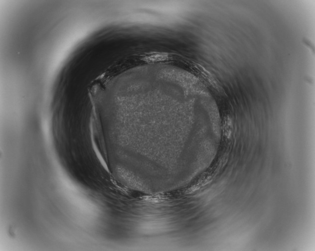 X0000095900763200802081140