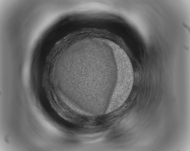 X0000095900765200802081140