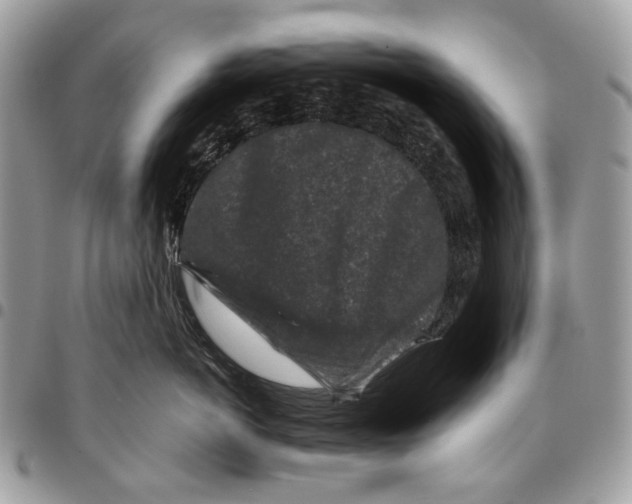 X0000095900766200802081140