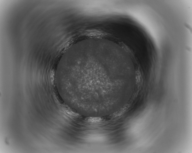 X0000095900767200802081140