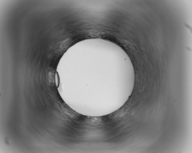 X0000095900768200802081140