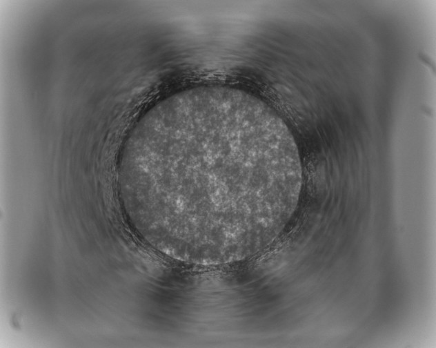 X0000095900769200802081139