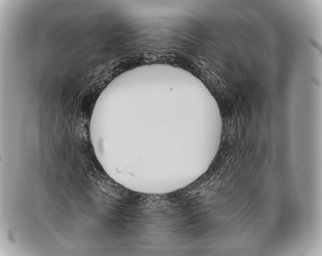 X0000095900770200802081139