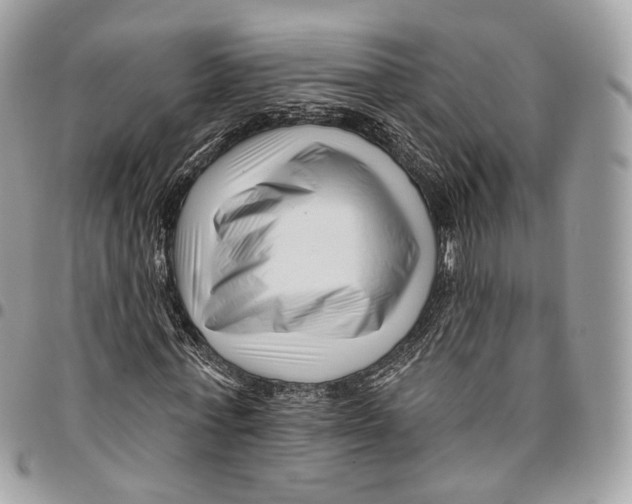 X0000095900771200802081139