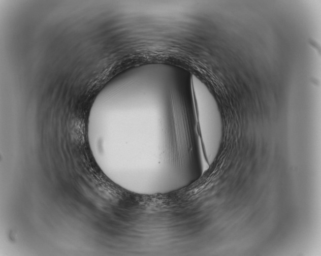 X0000095900772200802081139