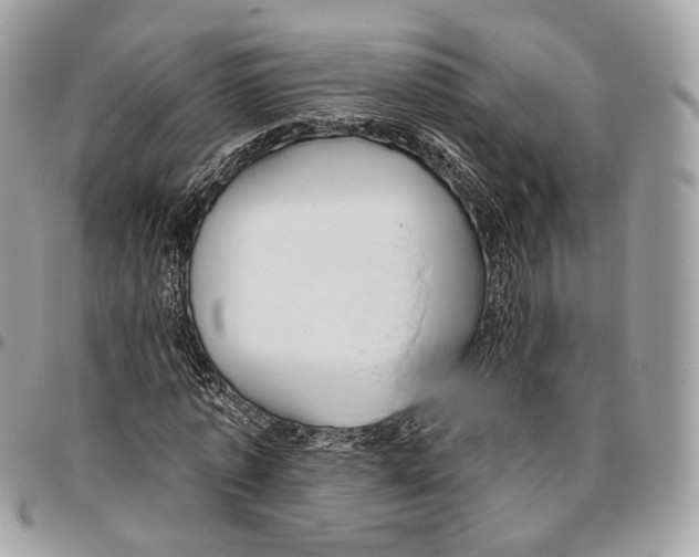 X0000095900773200802081139