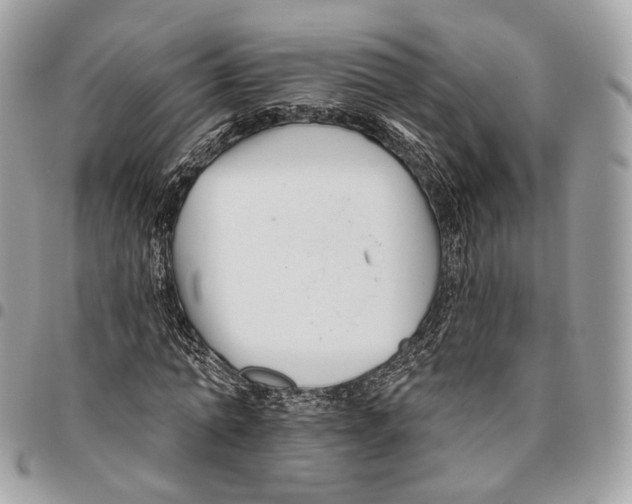 X0000095900774200802081139