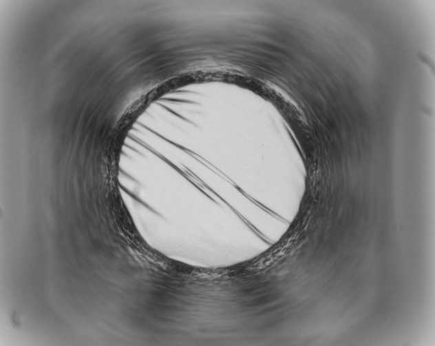 X0000095900775200802081139