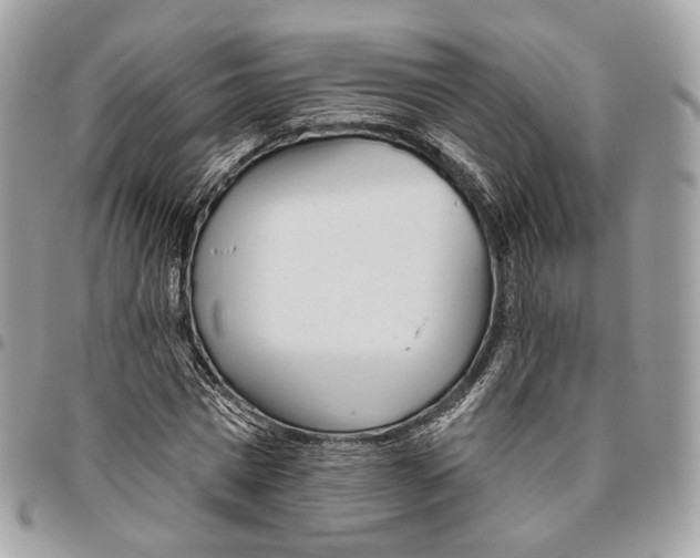 X0000095900777200802081139