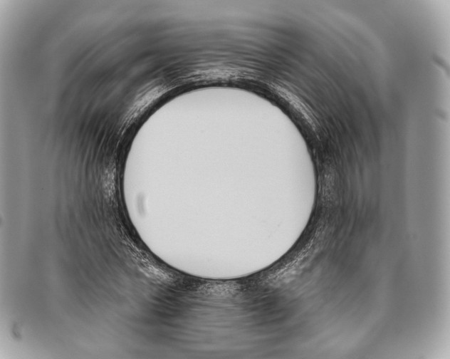 X0000095900778200802081139