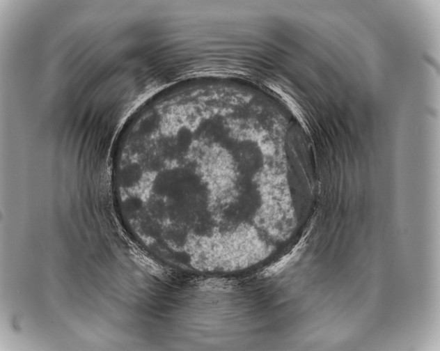 X0000095900779200802081139