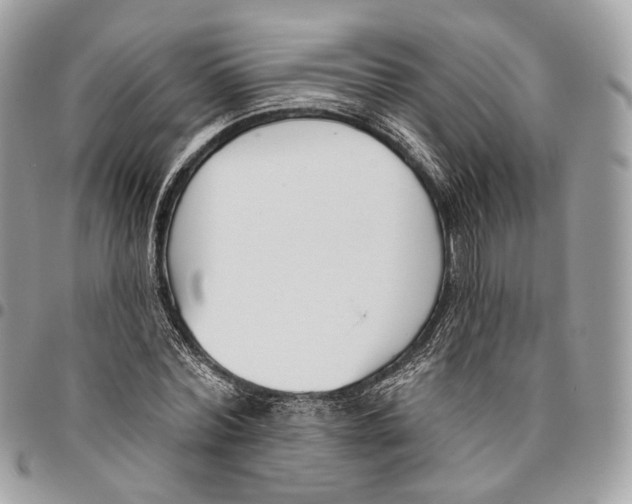 X0000095900780200802081139